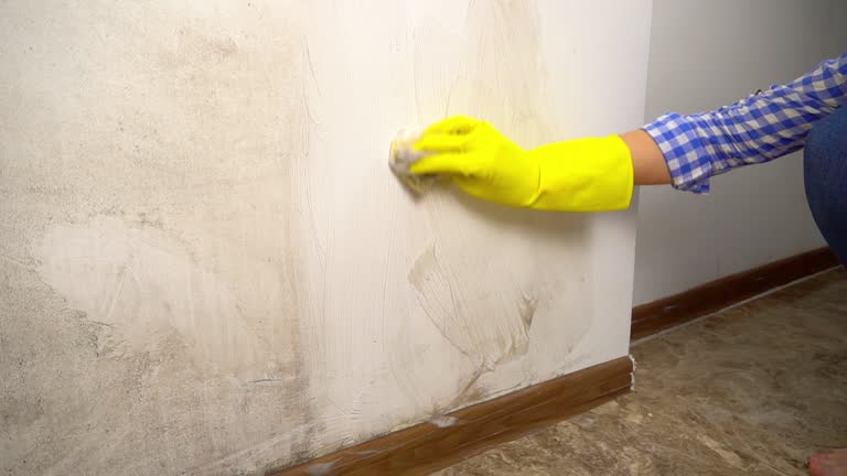 Best Mold Odor Removal Services  in Flence, OR